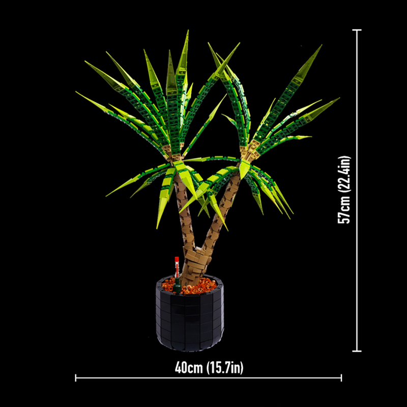 1961pcs MOC Dracaena Marginata – Dracaena Marginata recenzja i cena