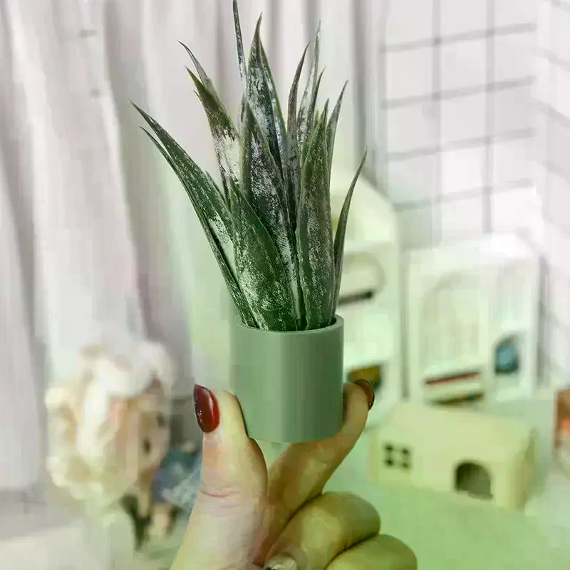 Dollhouse Decor Mini Aloe Vera – Aloe Vera Pot recenzja i cena