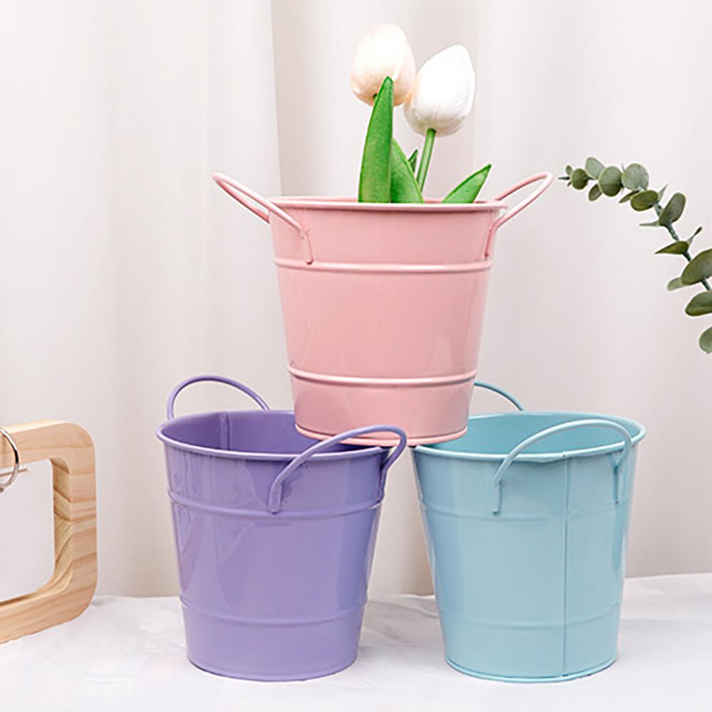 Flowerpot Candy Colored Iron F – Pilea Peperomioides recenzja i cena