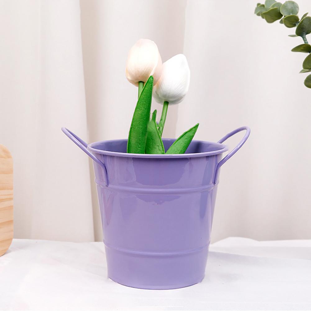 Flowerpot Candy Colored Iron F – Pilea Peperomioides recenzja i cena