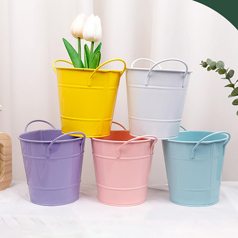 Flowerpot Candy Colored Iron F – Pilea Peperomioides recenzja i cena
