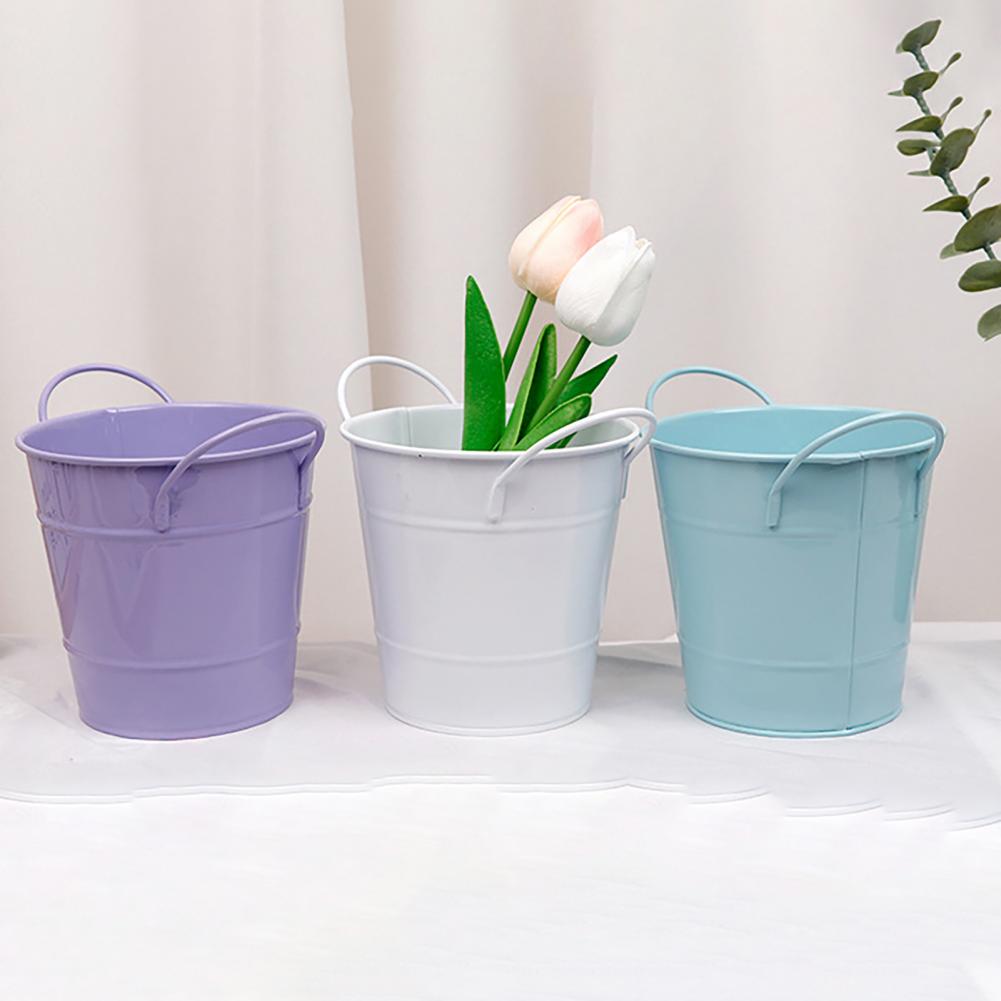 Flowerpot Candy Colored Iron F – Pilea Peperomioides recenzja i cena