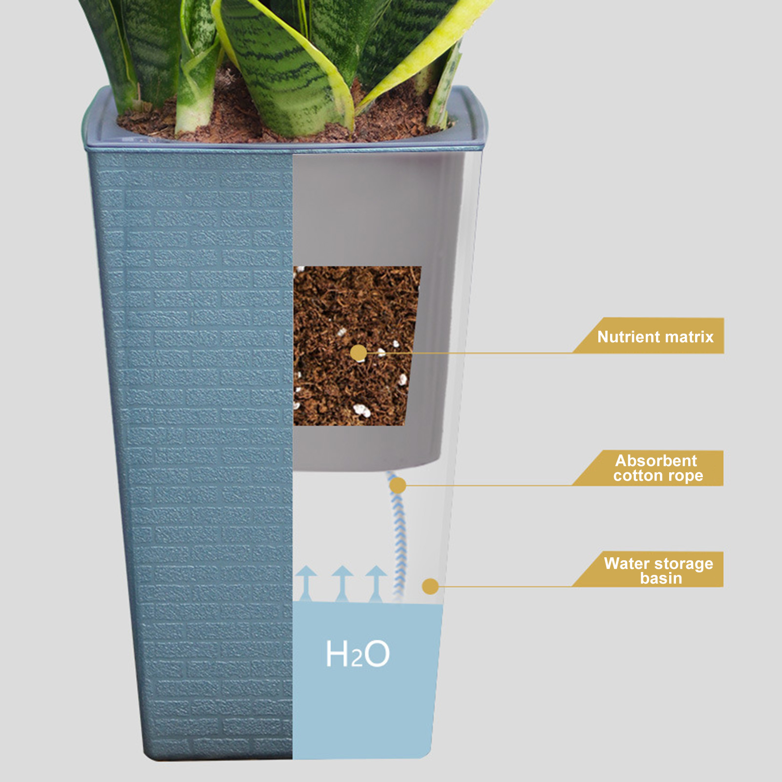 Self Watering Planter Handmade – Pilea Peperomioides recenzja i cena