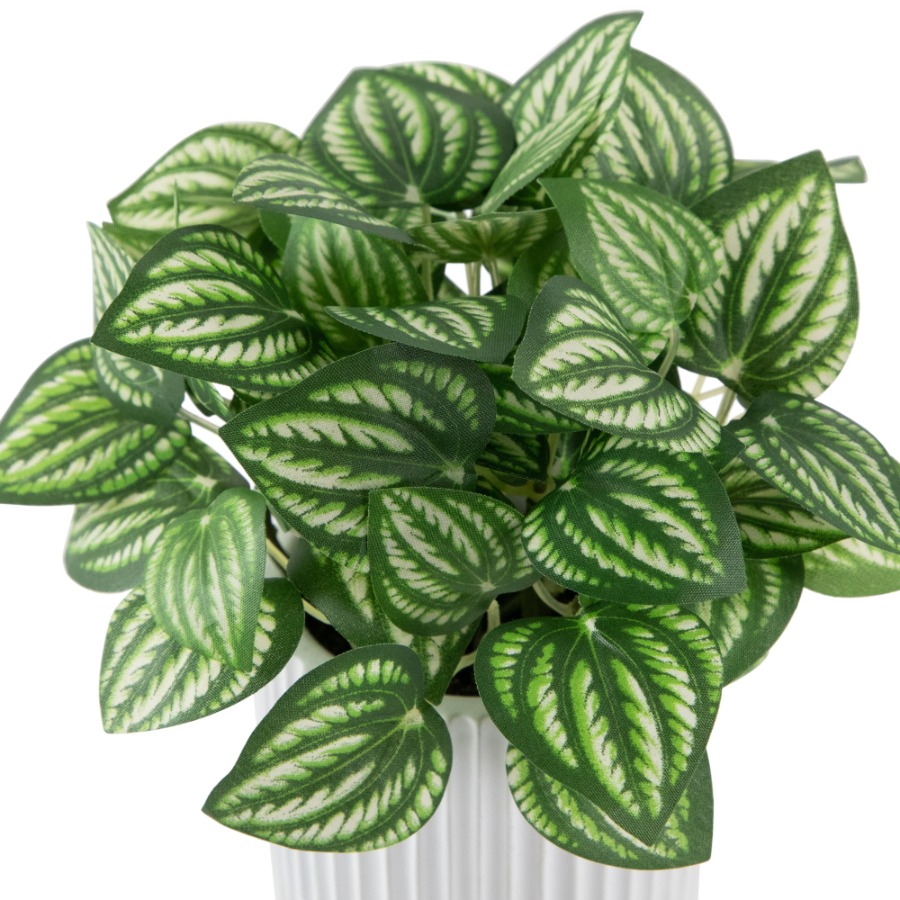 Artificial Watermelon Peperomi – Peperomia Watermelon recenzja i cena