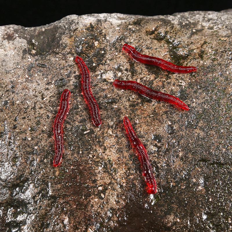 CIBO 50pcs-Artificial Red Worm – Aglaonema Red recenzja i cena