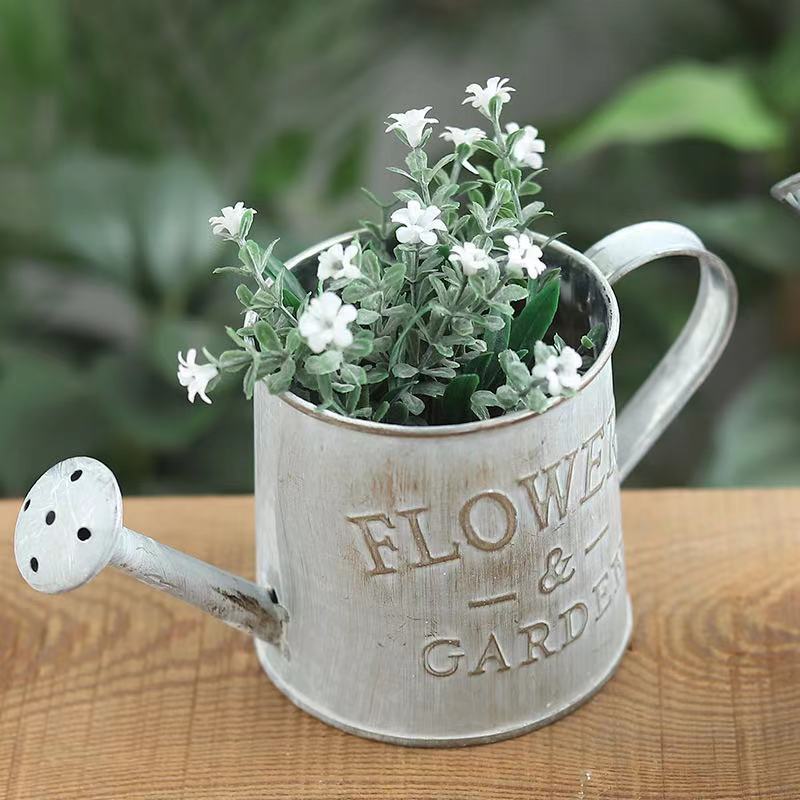 Barrels Garden Decoration Tin  – Pilea Peperomioides recenzja i cena