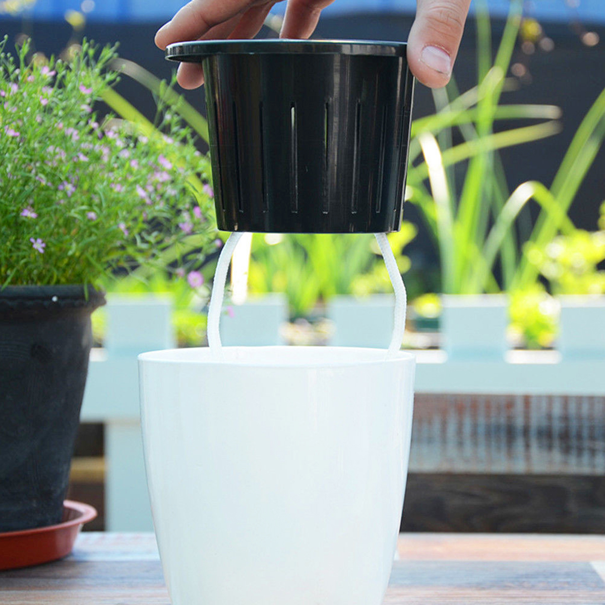 6/12Pcs Self-Watering Flower P – Aloe Vera Pot recenzja i cena