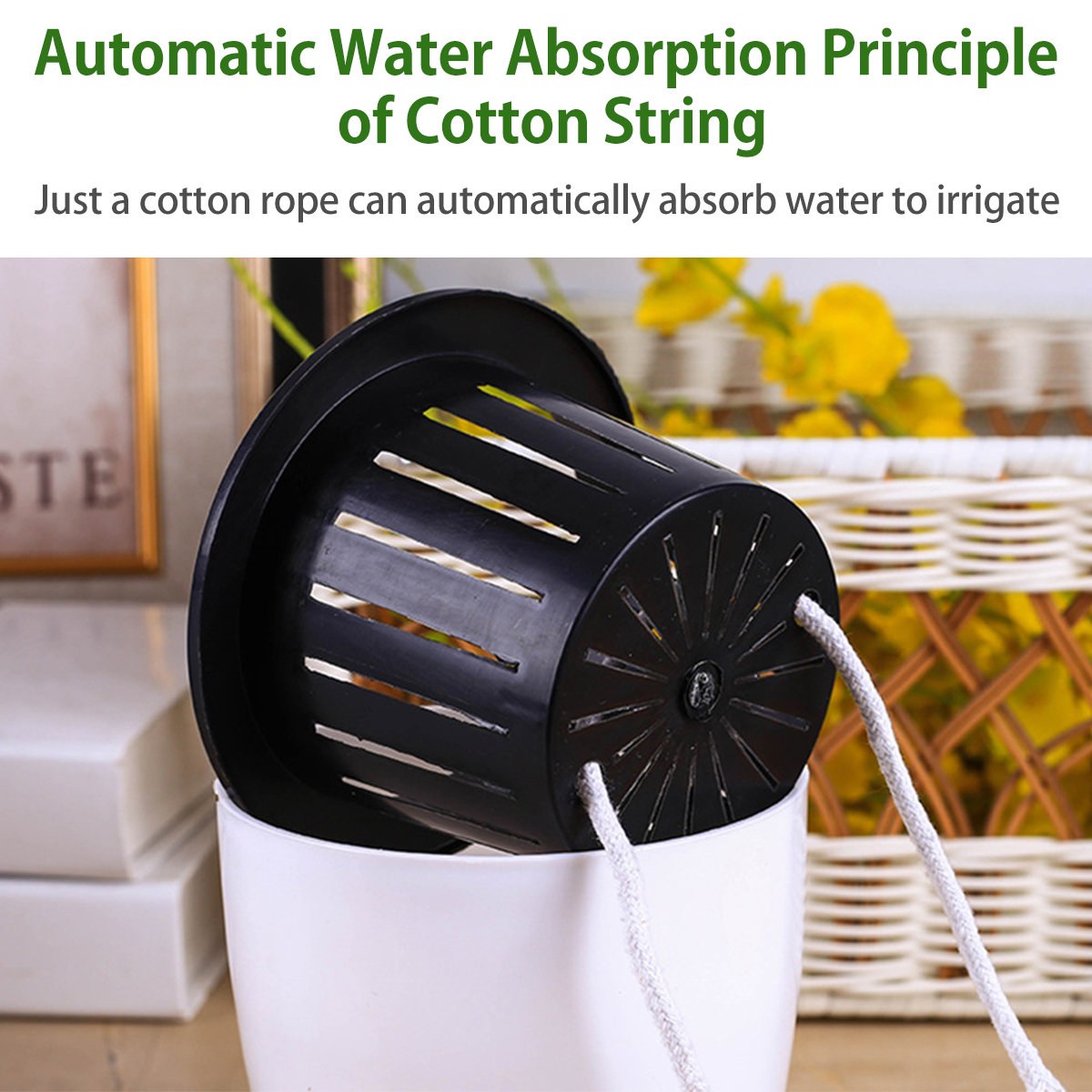 6/12Pcs Self-Watering Flower P – Aloe Vera Pot recenzja i cena