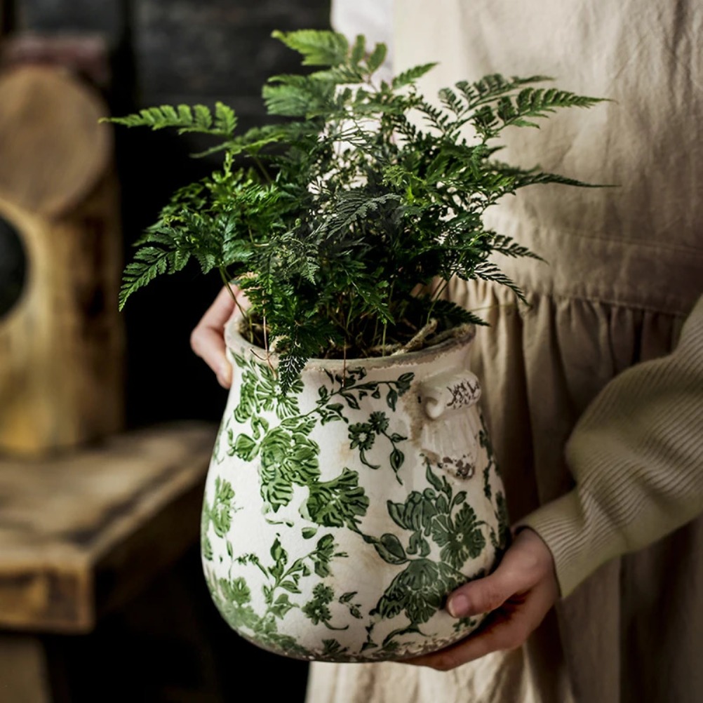 Vintage Ceramic Flower Pot Out – Pilea Peperomioides recenzja i cena
