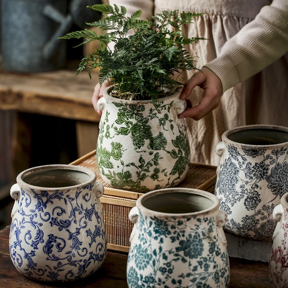 Vintage Ceramic Flower Pot Out – Pilea Peperomioides recenzja i cena