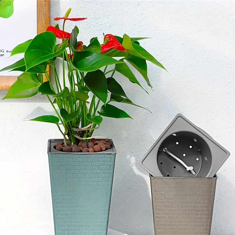 Plastic Brick Pattern Flowerpo – Pilea Peperomioides recenzja i cena