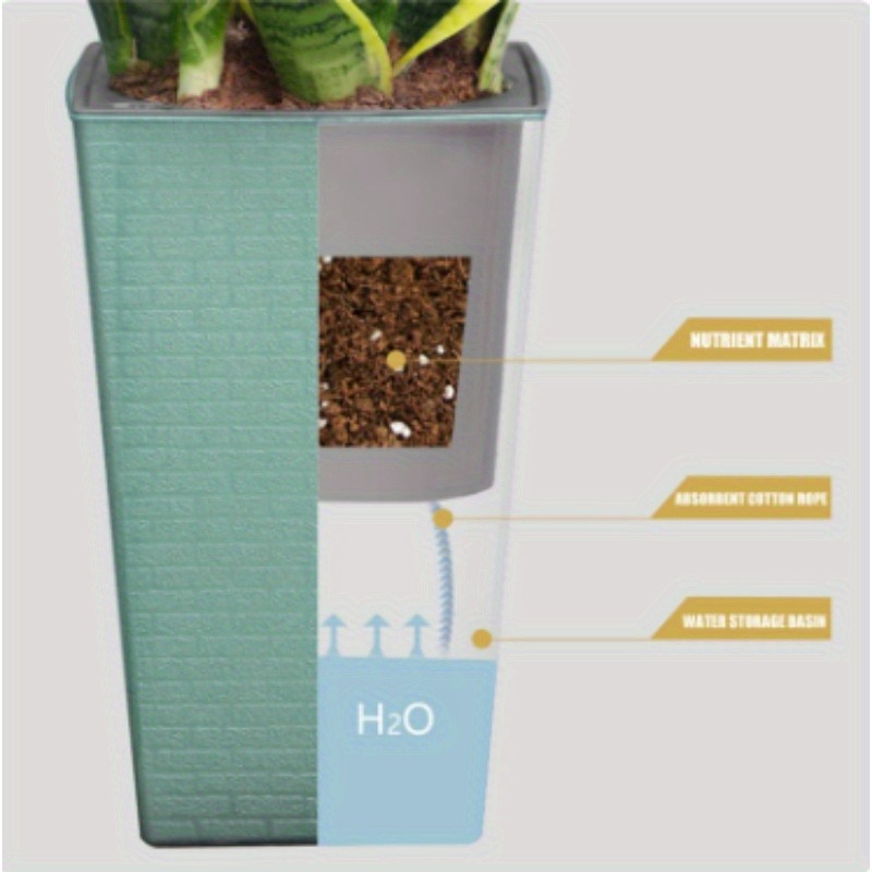 Plastic Brick Pattern Flowerpo – Pilea Peperomioides recenzja i cena