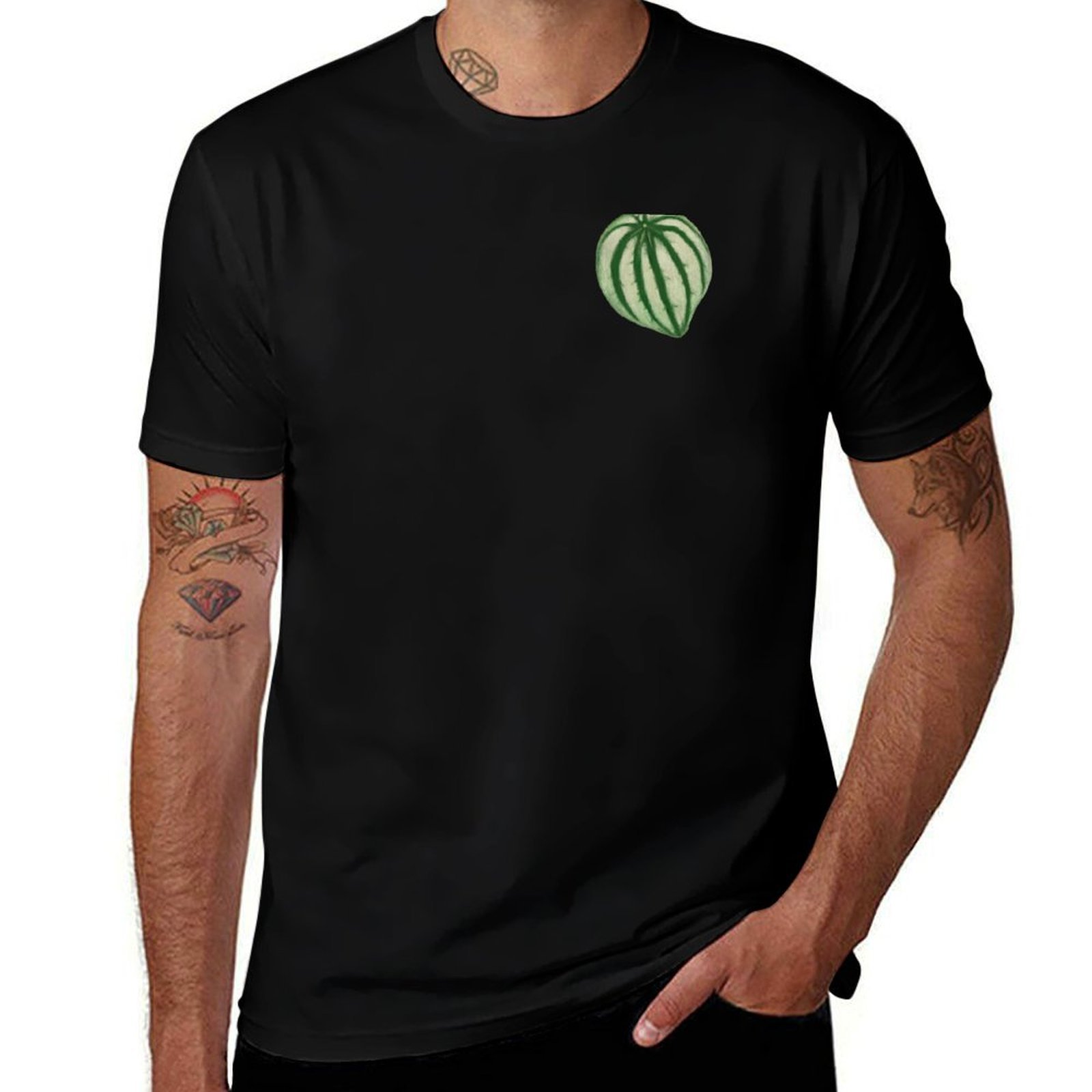 Watermelon Peperomia T-Shirt C – Peperomia Watermelon recenzja i cena