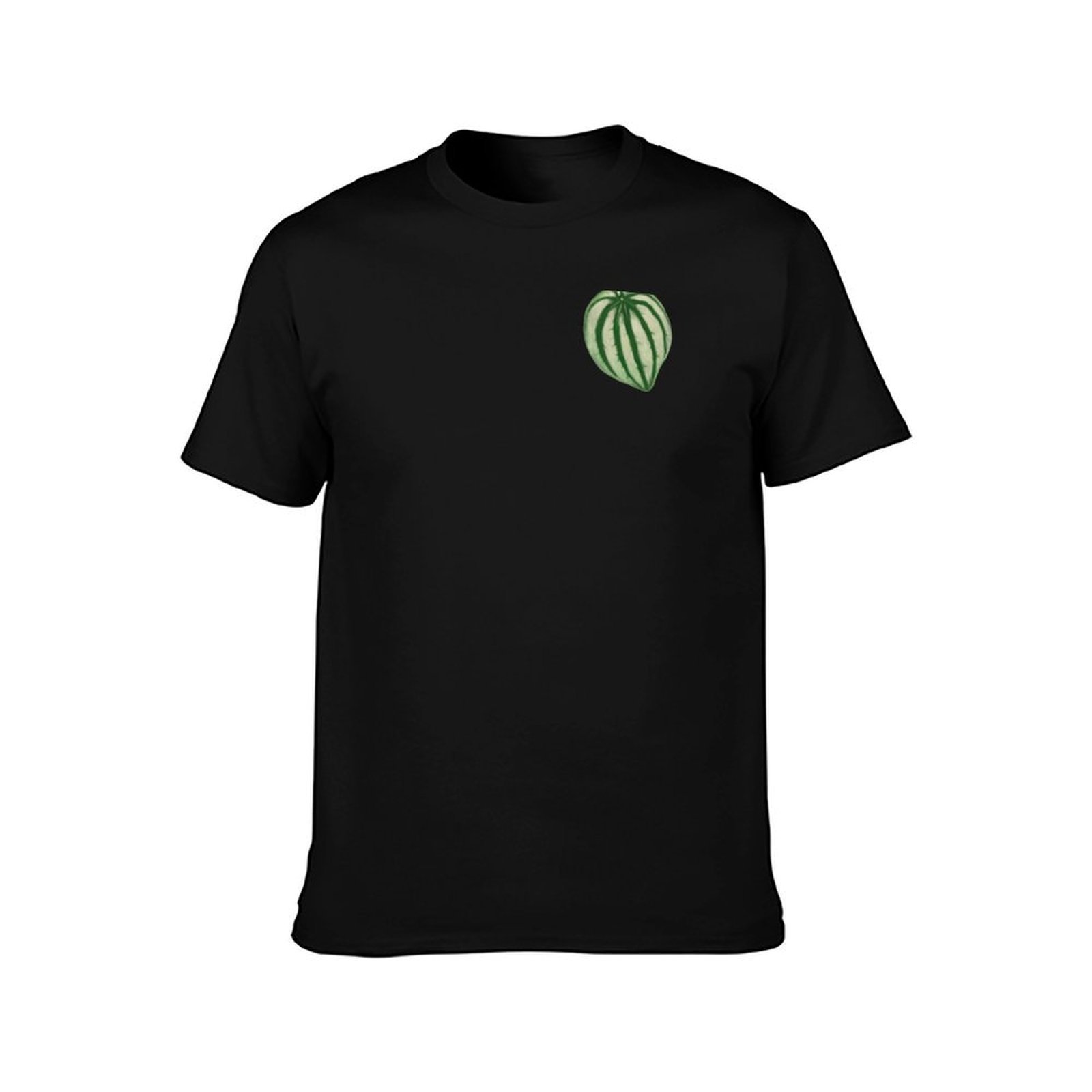 Watermelon Peperomia T-Shirt C – Peperomia Watermelon recenzja i cena