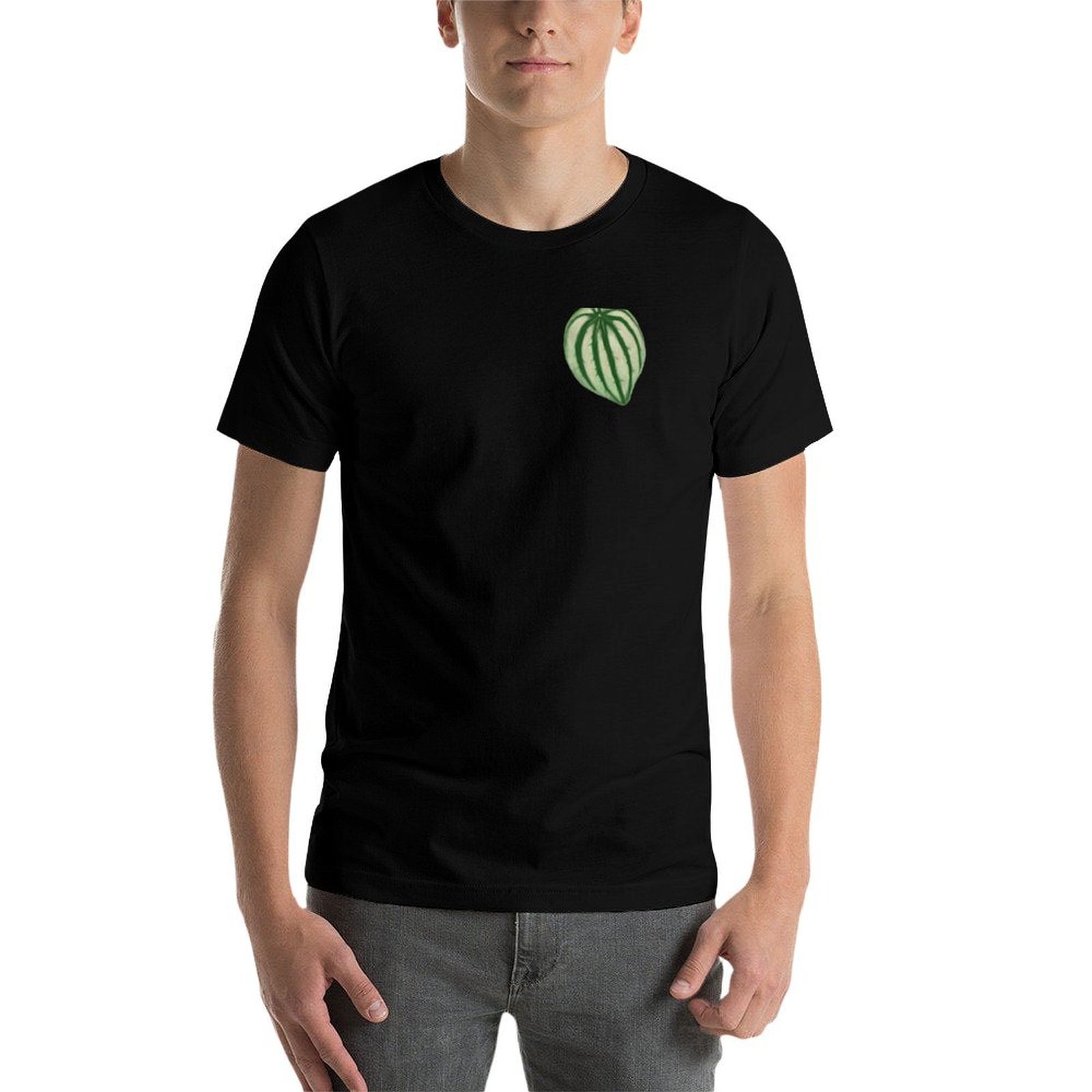 Watermelon Peperomia T-Shirt C – Peperomia Watermelon recenzja i cena