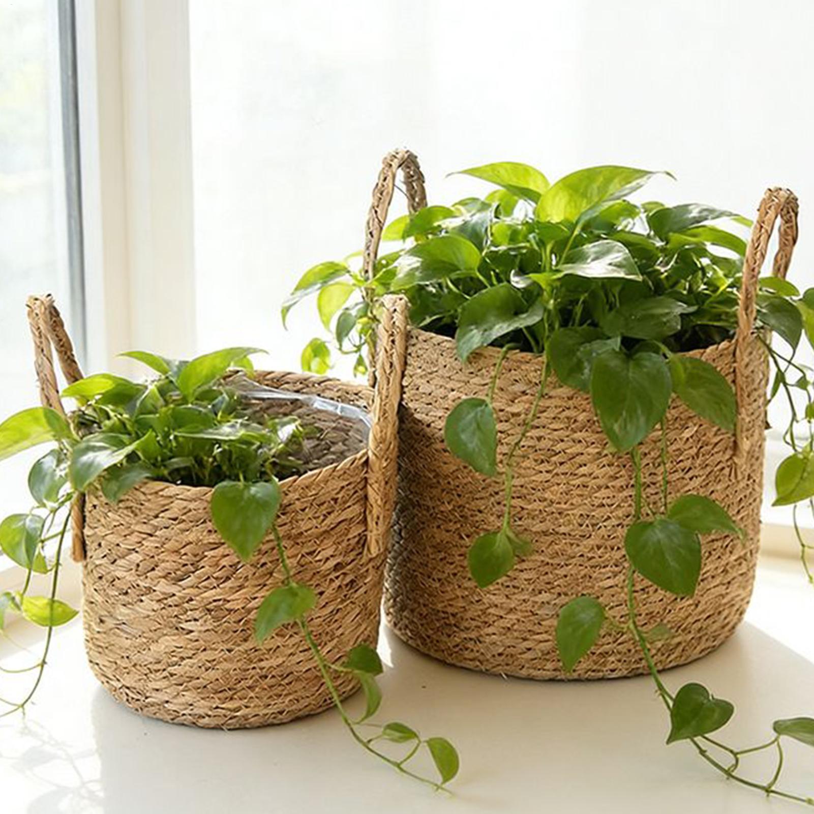 Planter Basket Straw Flowerpot – Pilea Peperomioides recenzja i cena