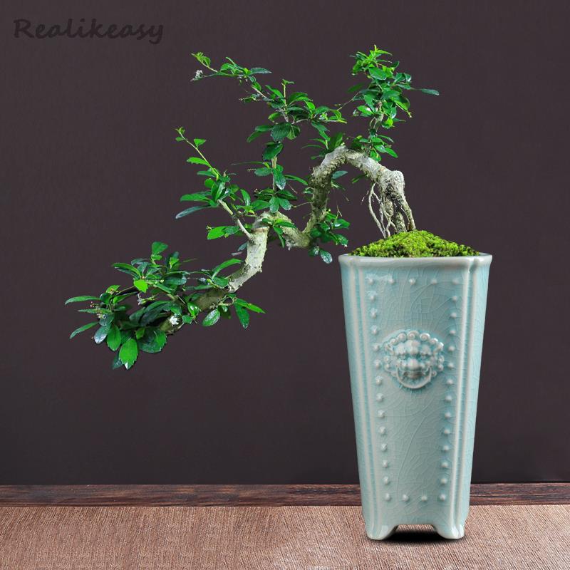 Creative Chinese Ceramic Flowe – Pilea Peperomioides recenzja i cena