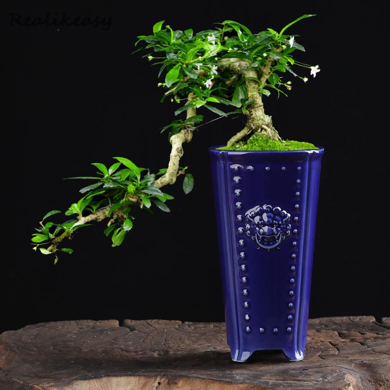 Creative Chinese Ceramic Flowe – Pilea Peperomioides recenzja i cena