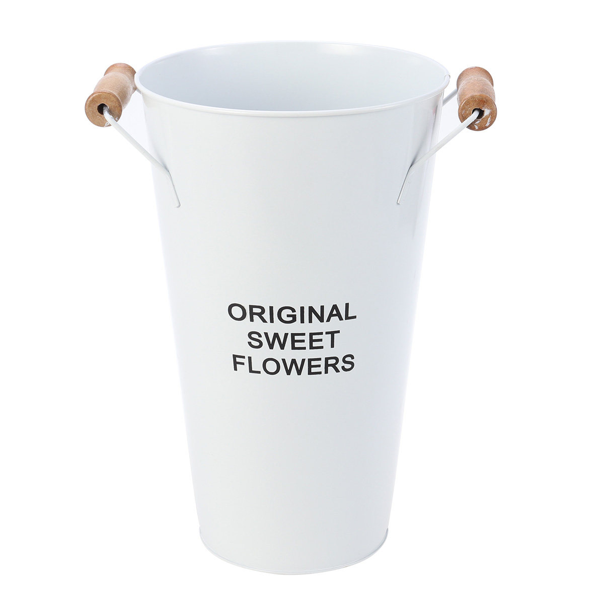 Wrought Iron Flower Vase Deskt – Aloe Vera Pot recenzja i cena