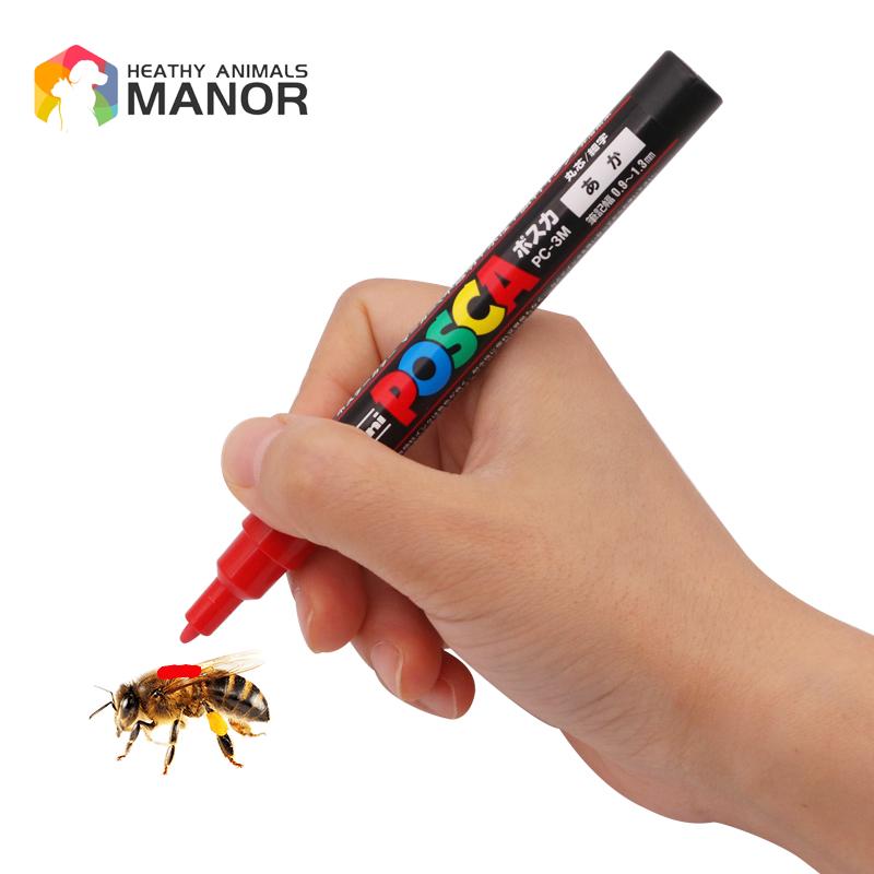 1Pcs Beekeeping Mark Pen Queen – Begonia Rex recenzja i cena